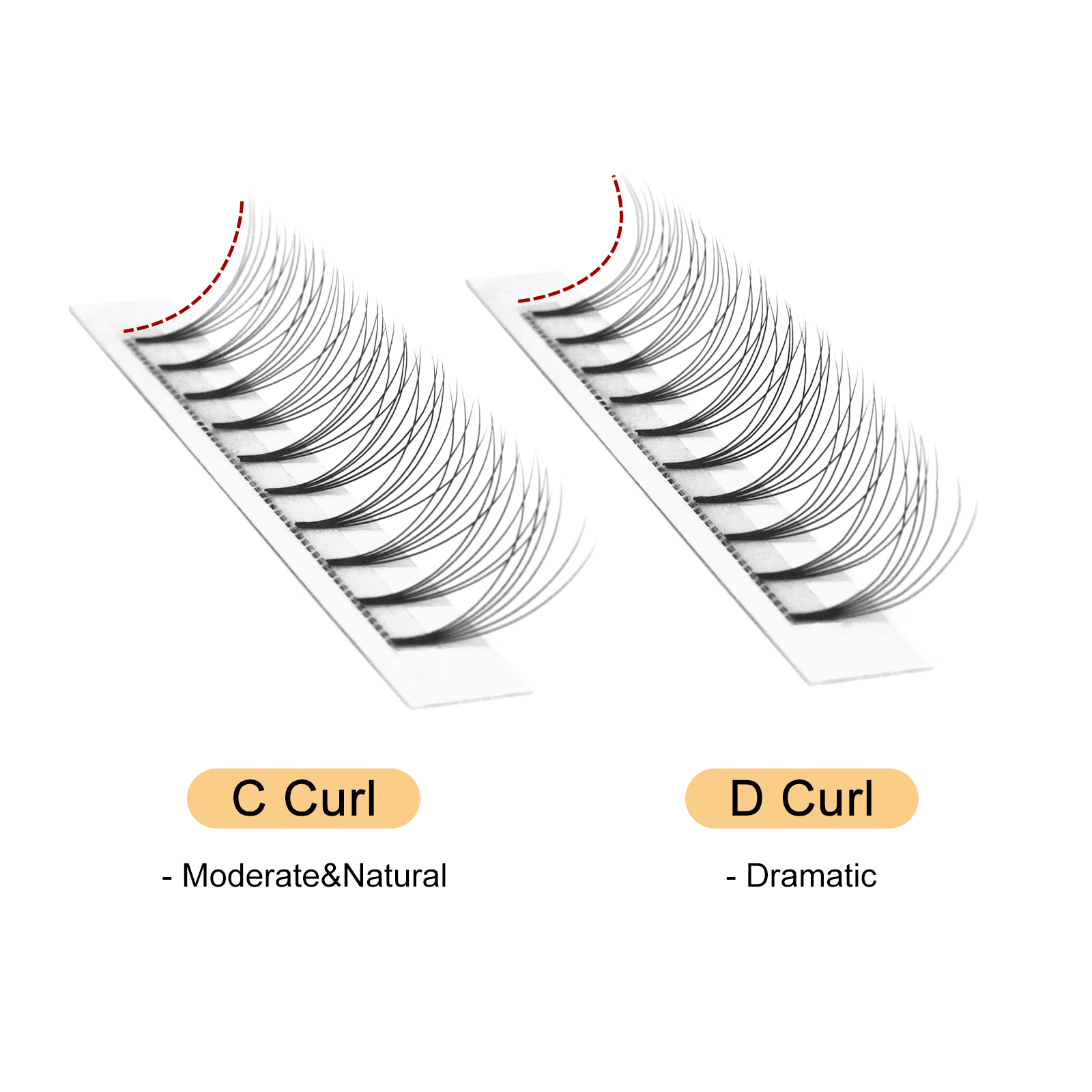 Quewel 既成ファンまつげ 8D/6D/5D/4D/3D - Individual Lash Tray のレビューと価格